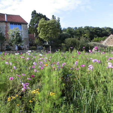 Vineyard Garden Studio Mont-Saint-Jean  المظهر الخارجي الصورة