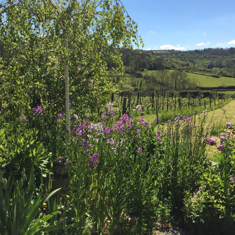 Vineyard Garden Studio Mont-Saint-Jean  المظهر الخارجي الصورة