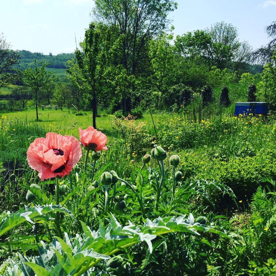 Vineyard Garden Studio Mont-Saint-Jean  المظهر الخارجي الصورة